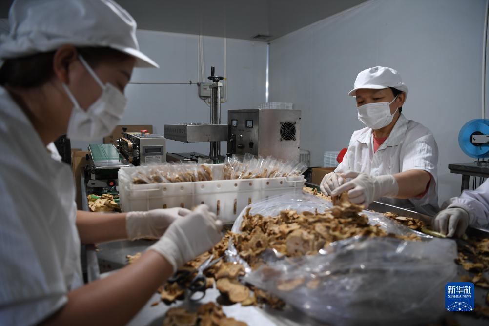 易世足球 官网